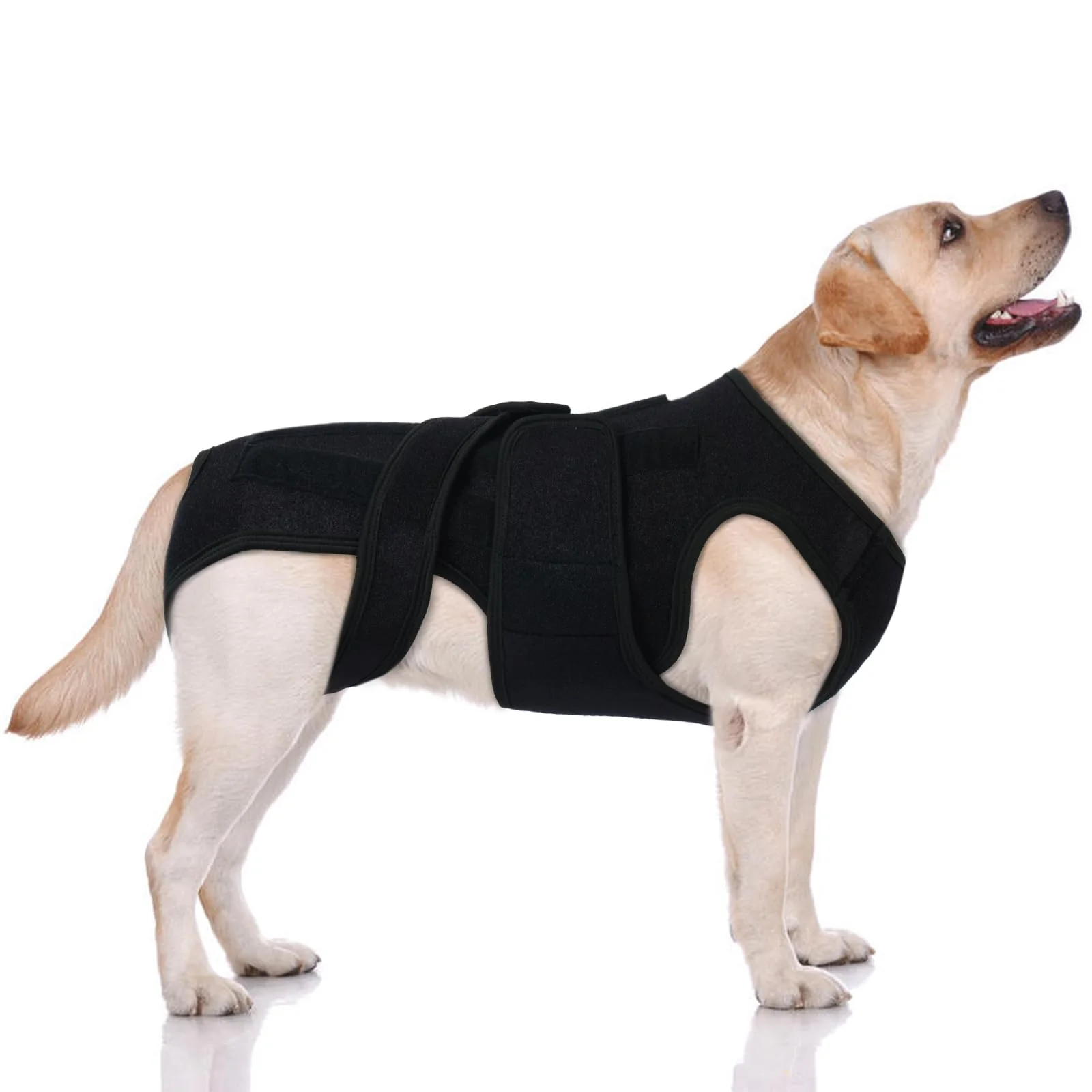 Soft LeleTail Post-Op Spinal Wrap for Giant Dogs – Extra Long Back Brace 5 Rods 3XL Responsible