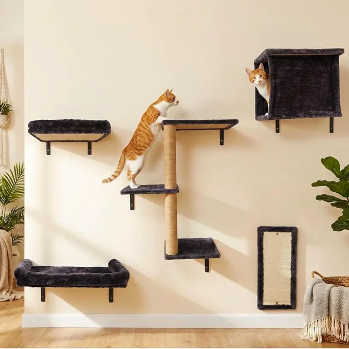 Secure 5in1 Cat Wall Shelves Climbing Systems Large Cat Furniture Shelf Set Wall Smart
