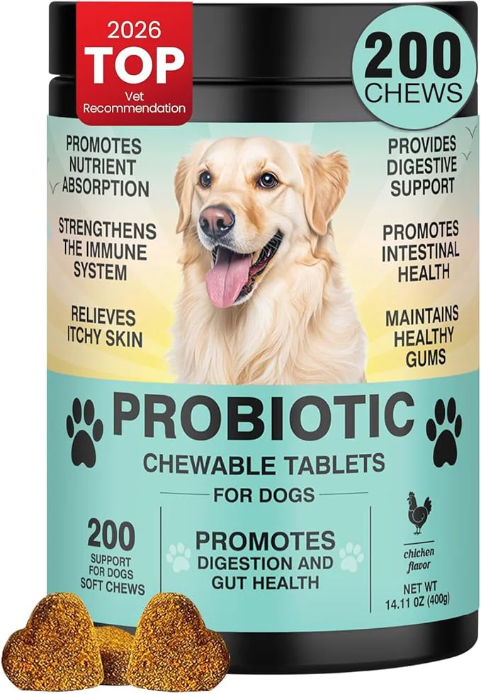 User-Friendly Probiotics for Dogs Gut Digestive Health Probiotic Chews for Dogs Digestive Enzymes Relieve Diarrhea Immunity Oral Problems Itching Constipation Prebiotics Dog Probiotics 200 Ct ChickenAbout ThisOverview High-Performance