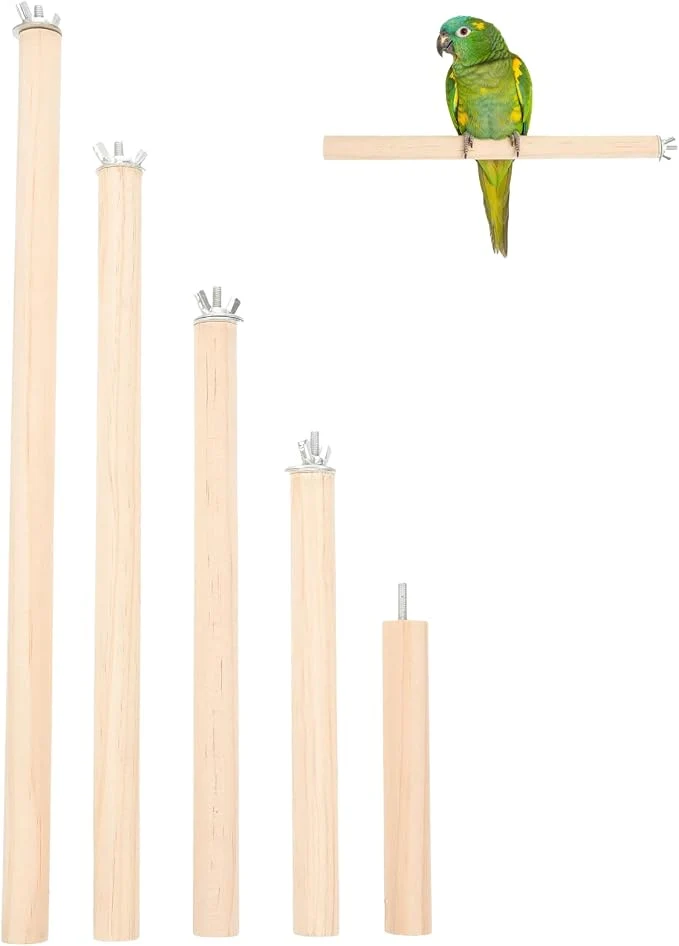 Trendy Angoily Natural Wood Bird Perch Stand Set Parakeet Perches 11 Inch Parrot Professional