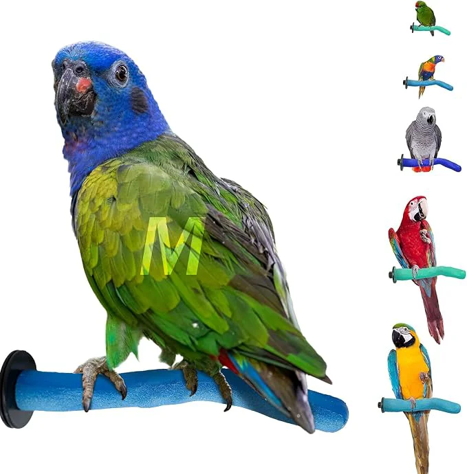 Sustainable Sweet Feet Beak Safety Pumice Bird Perch Medium 1-1 4 X 12 Recyclable