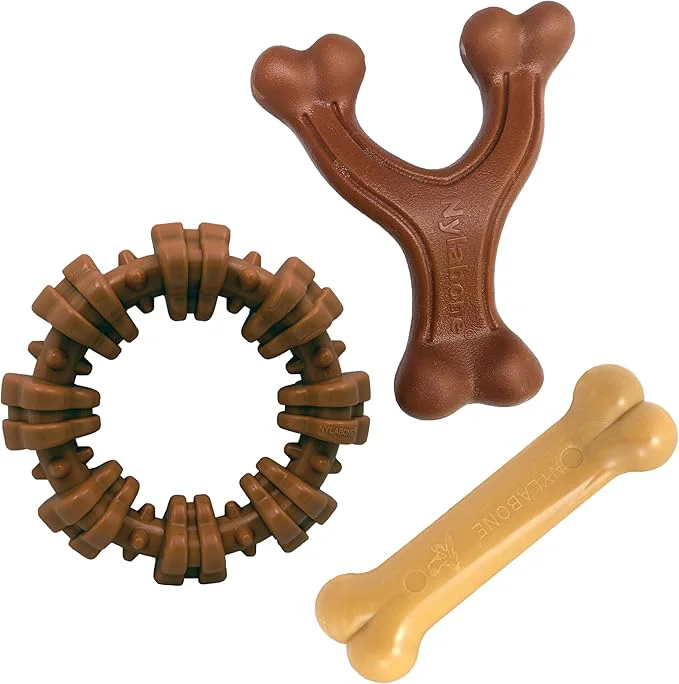 Flexible Nylabone Customer Favorites Power Chew Toy Bundle Convenient