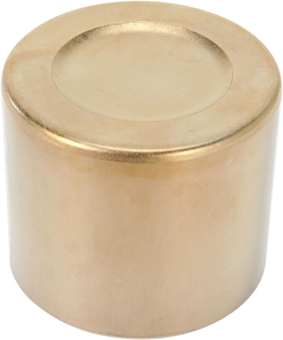 Consistent MOOSE UTILITY Front Brake Caliper Piston 08-956M Refined