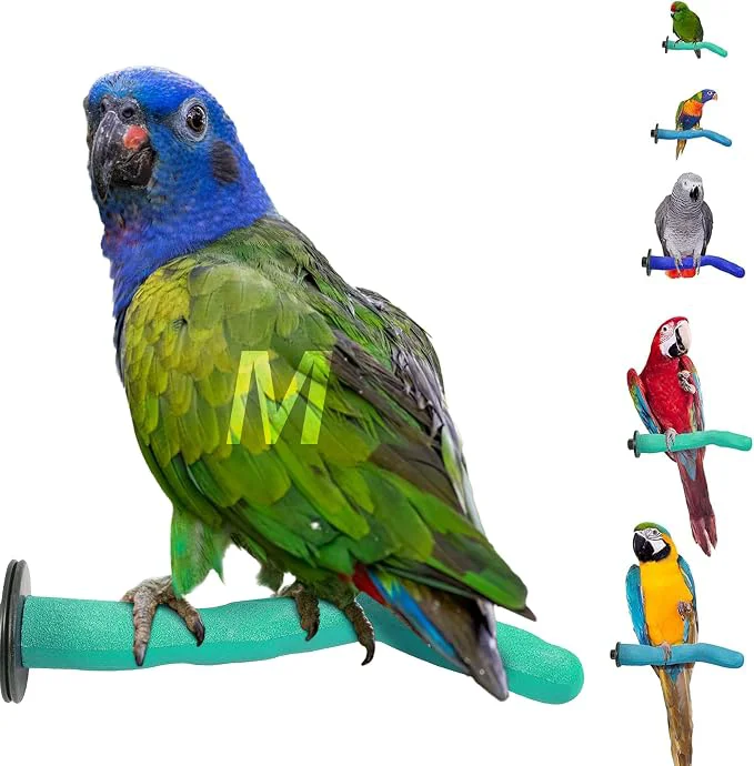 Sophisticated Sweet Feet Beak Safety Pumice Bird Perch Medium 1-1 4 X 12 Modern