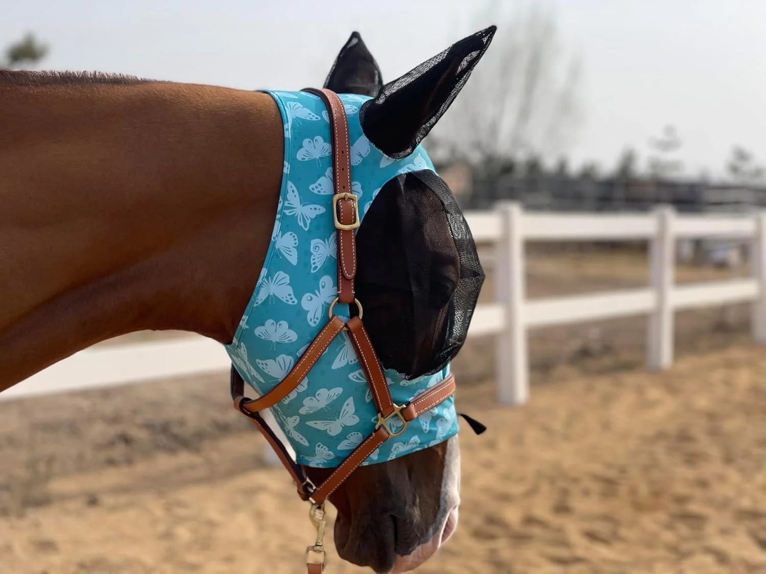 Refined Horse Fly Mask Super Comfort Horse Fly Mask Elasticity Fly Mask with Ears We Only Make Products That Horses Like… Lake Green M Luxury