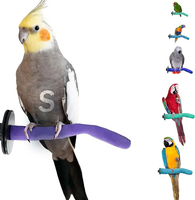 Artisan Sweet Feet and Beak Safety Pumice Perch Stylish