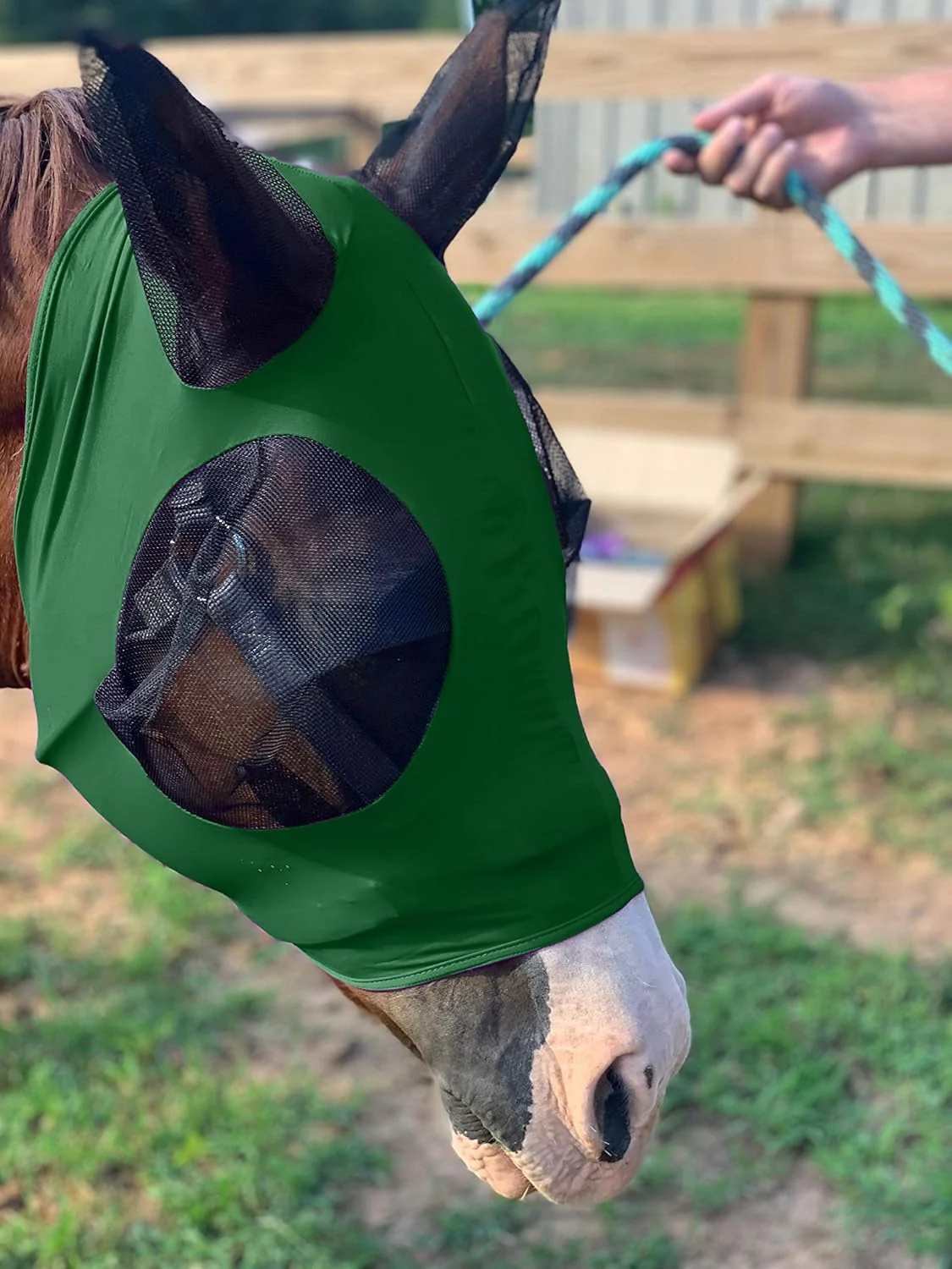 Expertly Made Horse Fly Mask - Arab Equine Fly Mask with Full Coverage for Eye Ear - Stretchable UV Sun Protection Flymask for Horses Ponies Mini Horses - Horse Face Cover for Pasture Trail - Green Fashionable