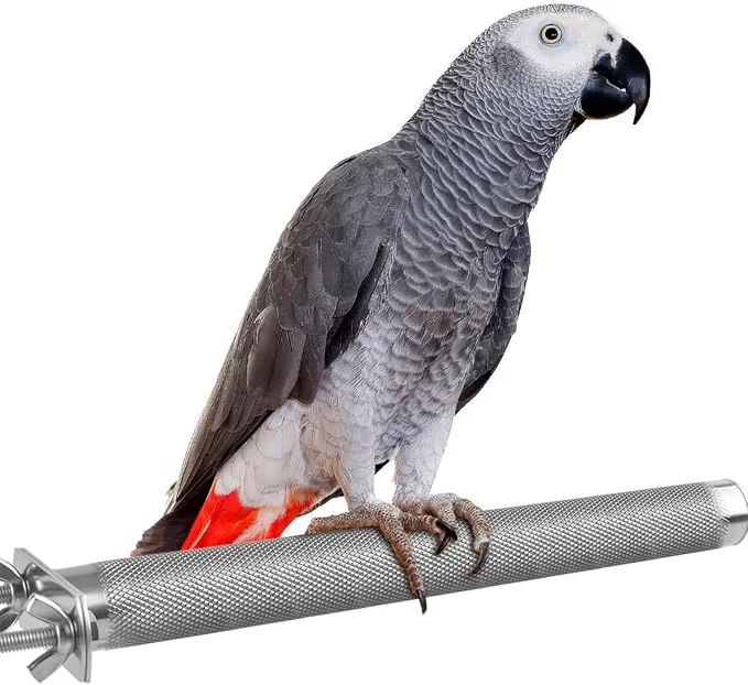 Soft KATUMO Bird Perch Genuine
