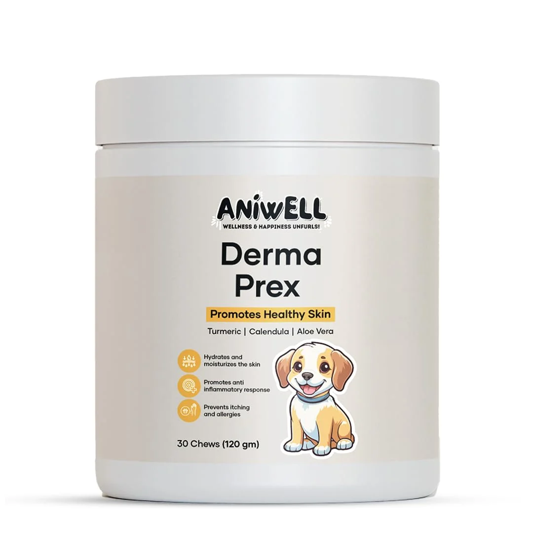 Eco-Friendly Aniwell DermaPrex Natural Itching Allergy Support for Dogs Seasonal Allergies Chews Pack of 3 Classic