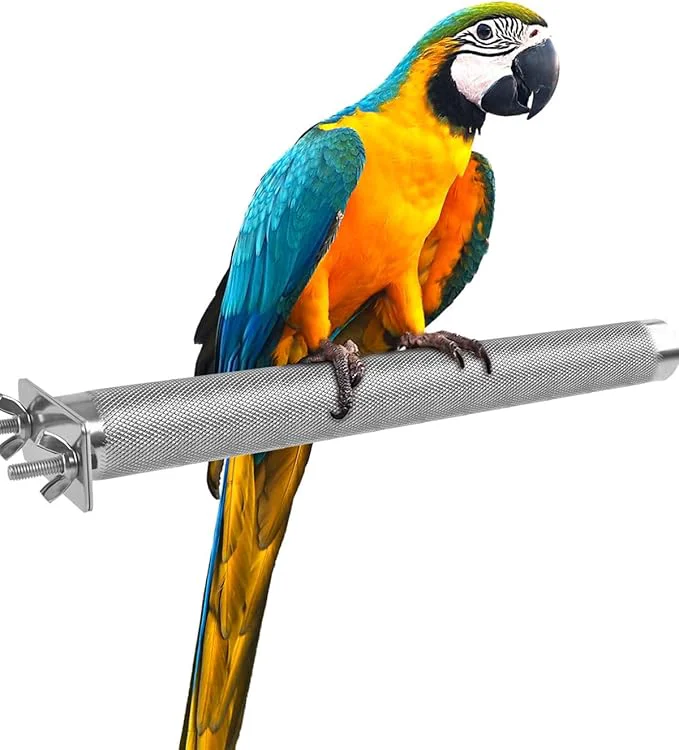 Next-Generation KATUMO Parrot Perch Solid