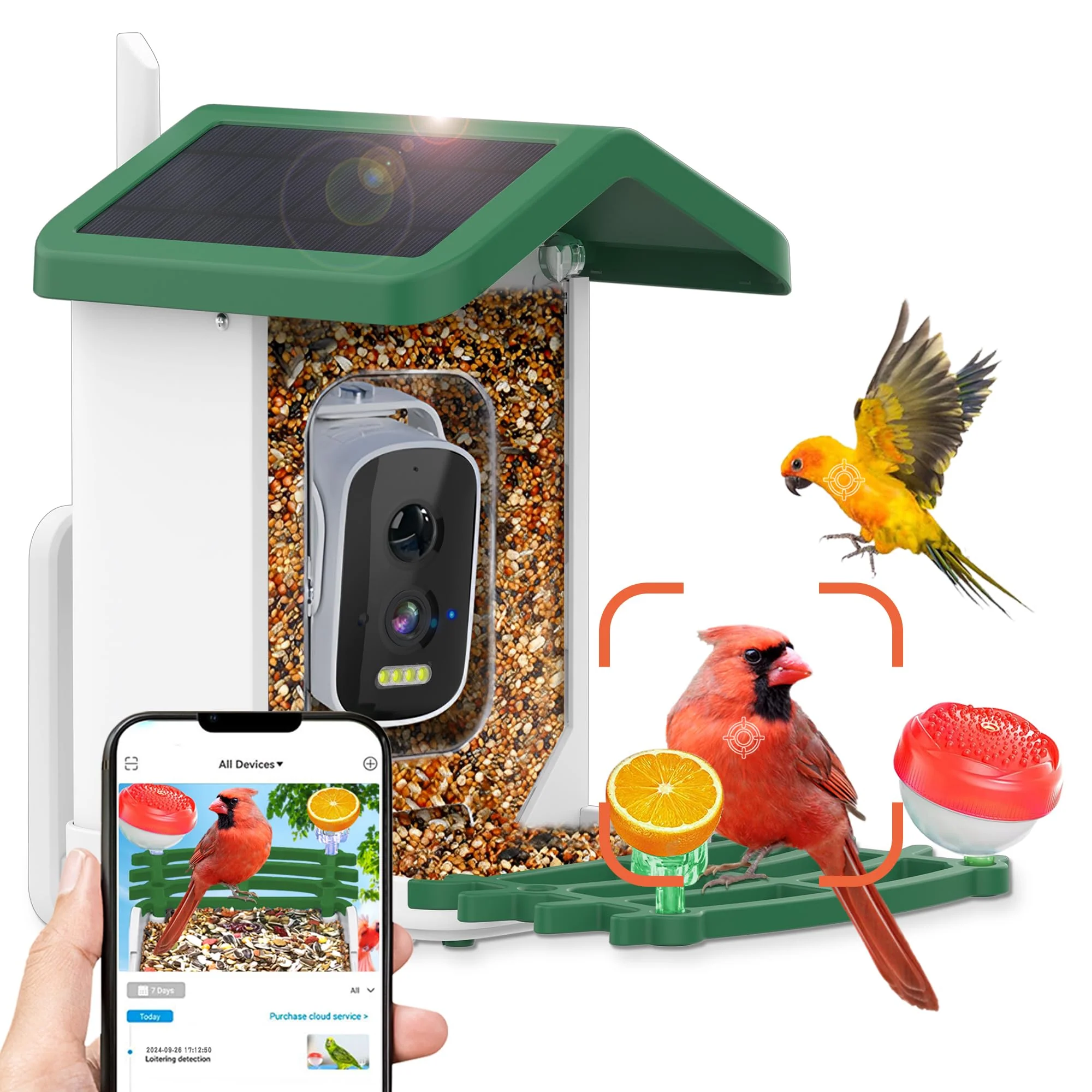 Exceptional Shufield Bird Feeder with Camera – Solar-Powered 4K HD Live View AI Species ID Sustainable