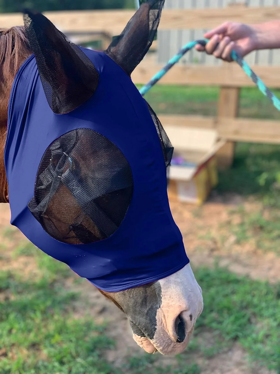 Professional Horse Fly Mask - Durable Equine Fly Mask with Full Coverage for Eye Ear - Stretchable UV Sun Protection Flymask for Horses Ponies Mini Horses - Horse Face Cover for Pasture Trail - Navy Casual