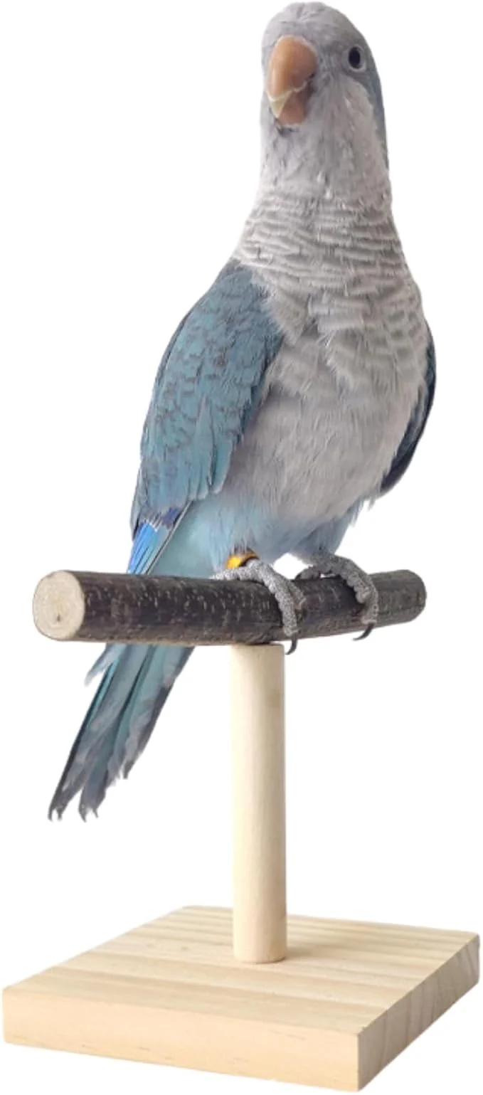 Breathable Bird Perch Stand Bird Training Portable Tabletop Platform Parrot Cage Toy Gym Authentic