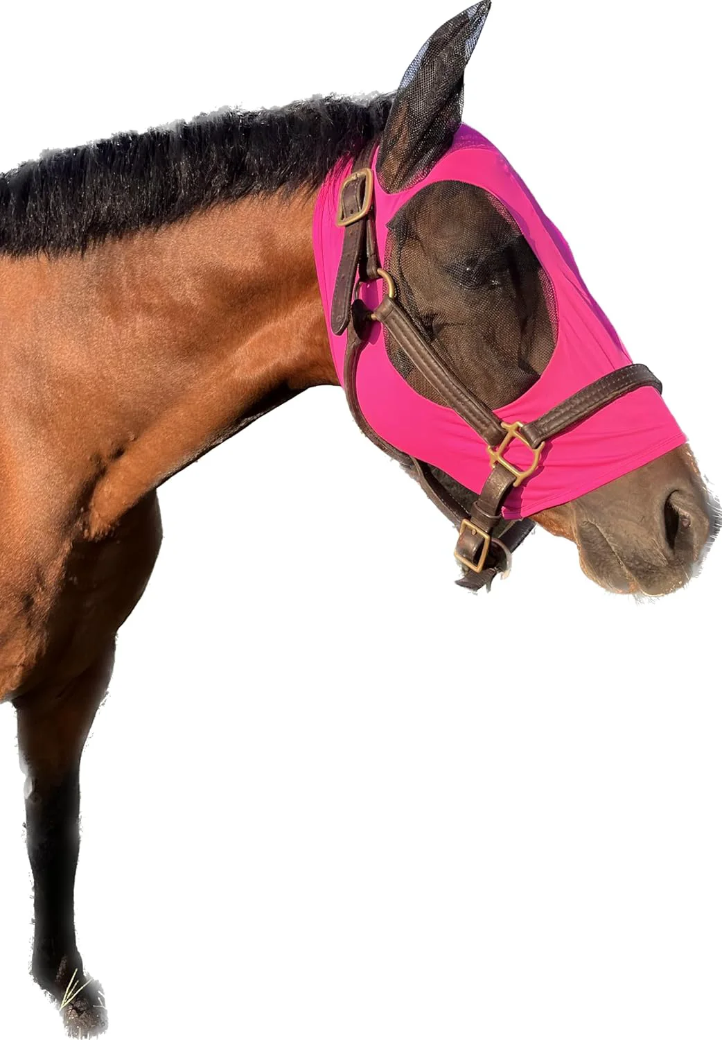 World-Class Horse Fly Mask - Arab Equine Fly Mask with Full Coverage for Eye Ear - Stretchable UV Sun Protection Flymask for Horses Ponies Mini Horses - Horse Face Cover for Pasture Trail - Pink Detailed