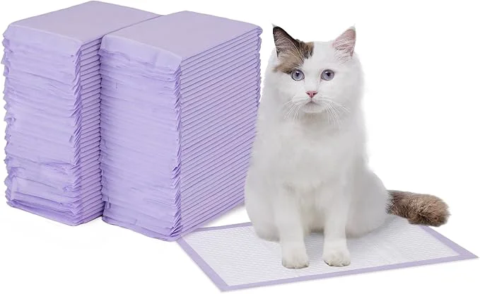 Artisan Amazon Basics Cat Pee Pads Odor Control Super Absorbent Disposable Casual