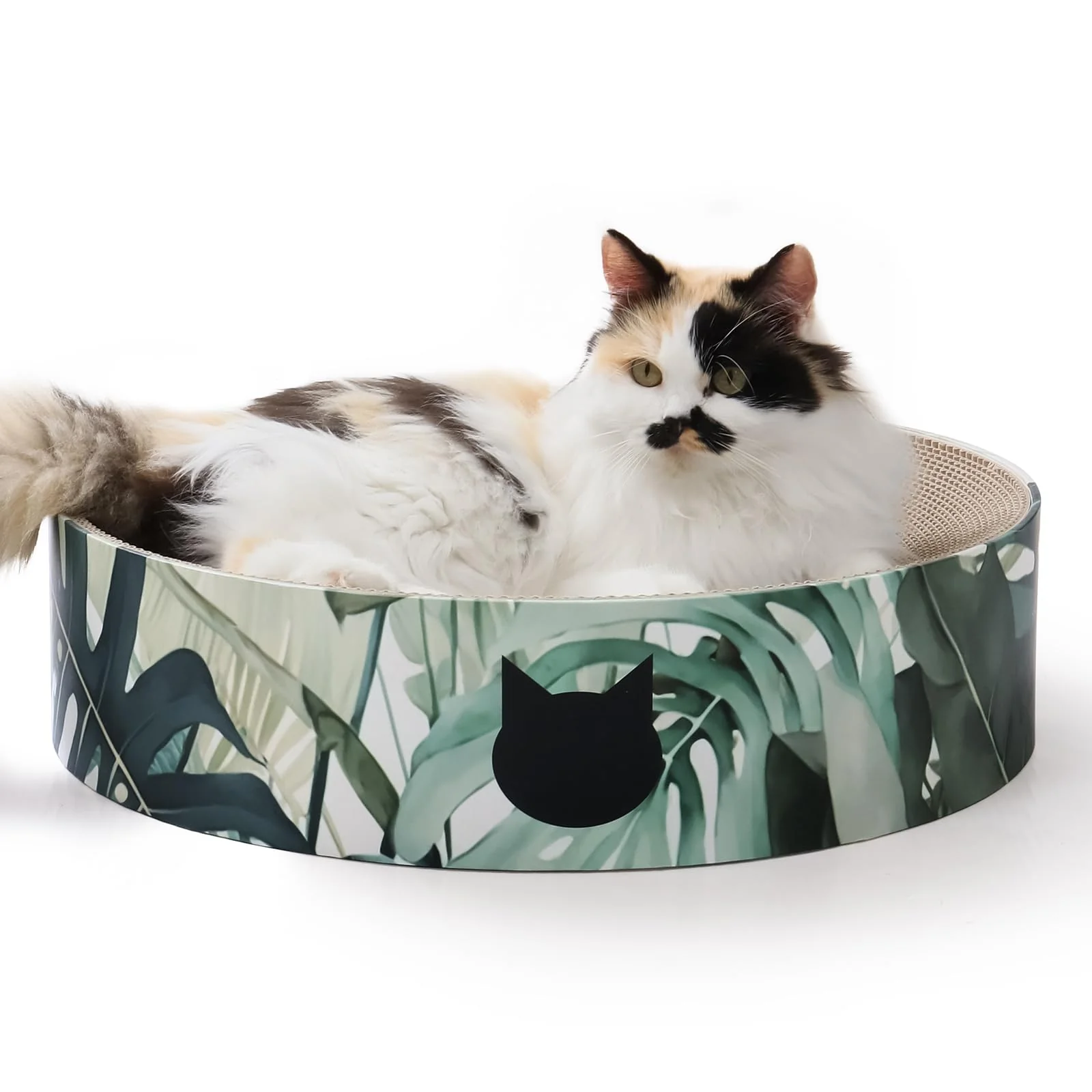 Carefully Designed Necoichi Cat Scratcher Bowl XL Oak – Reversible Lounger Scratching Pad Pure
