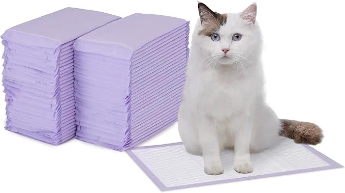 Prestigious Amazon Basics Cat Pee Pads Odor Control Super Absorbent Disposable Sustainable