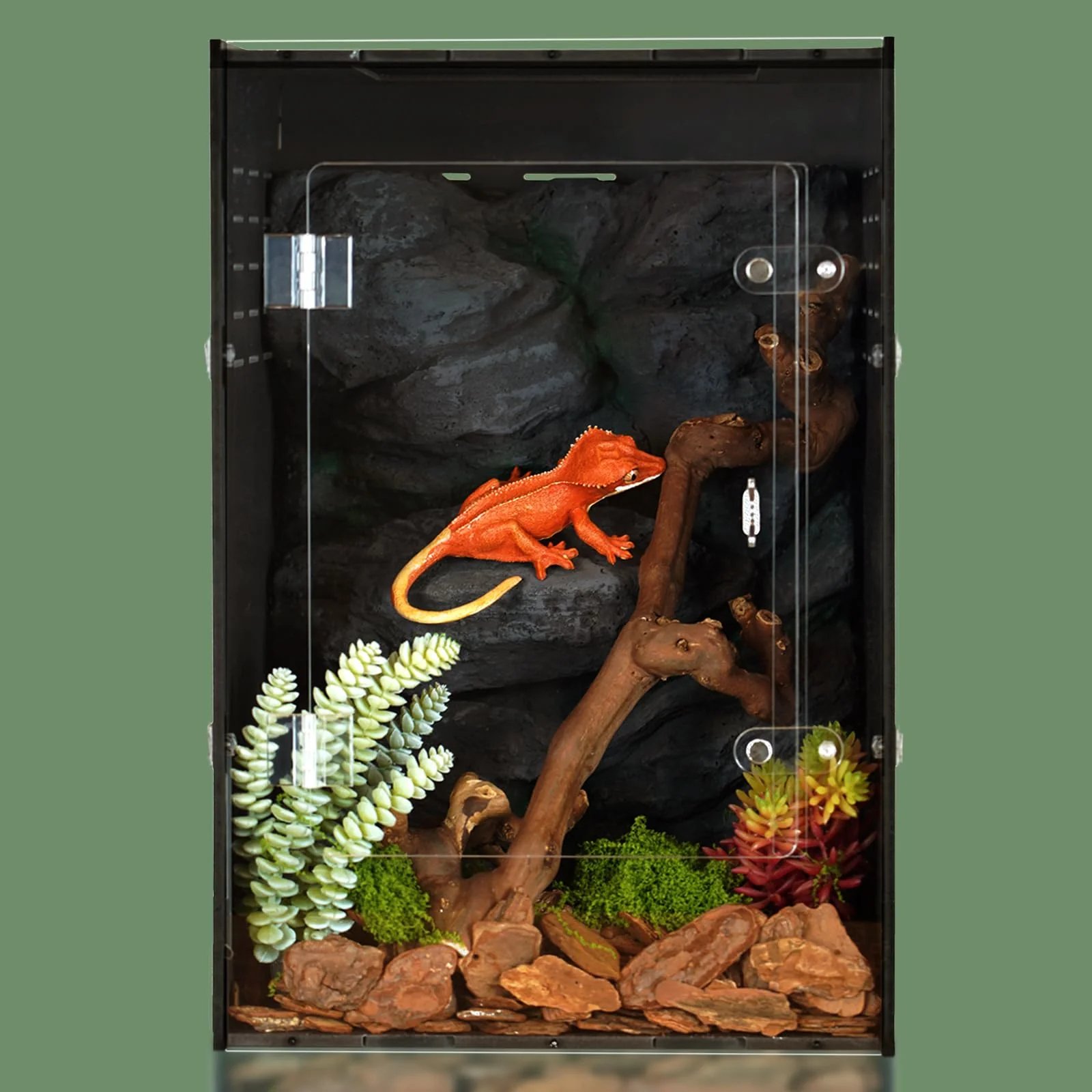 Solid maiyuolg Reptile Tank 12x12x18 Terrarium PVC Enclosure for Gecko Snake Lizard Classic