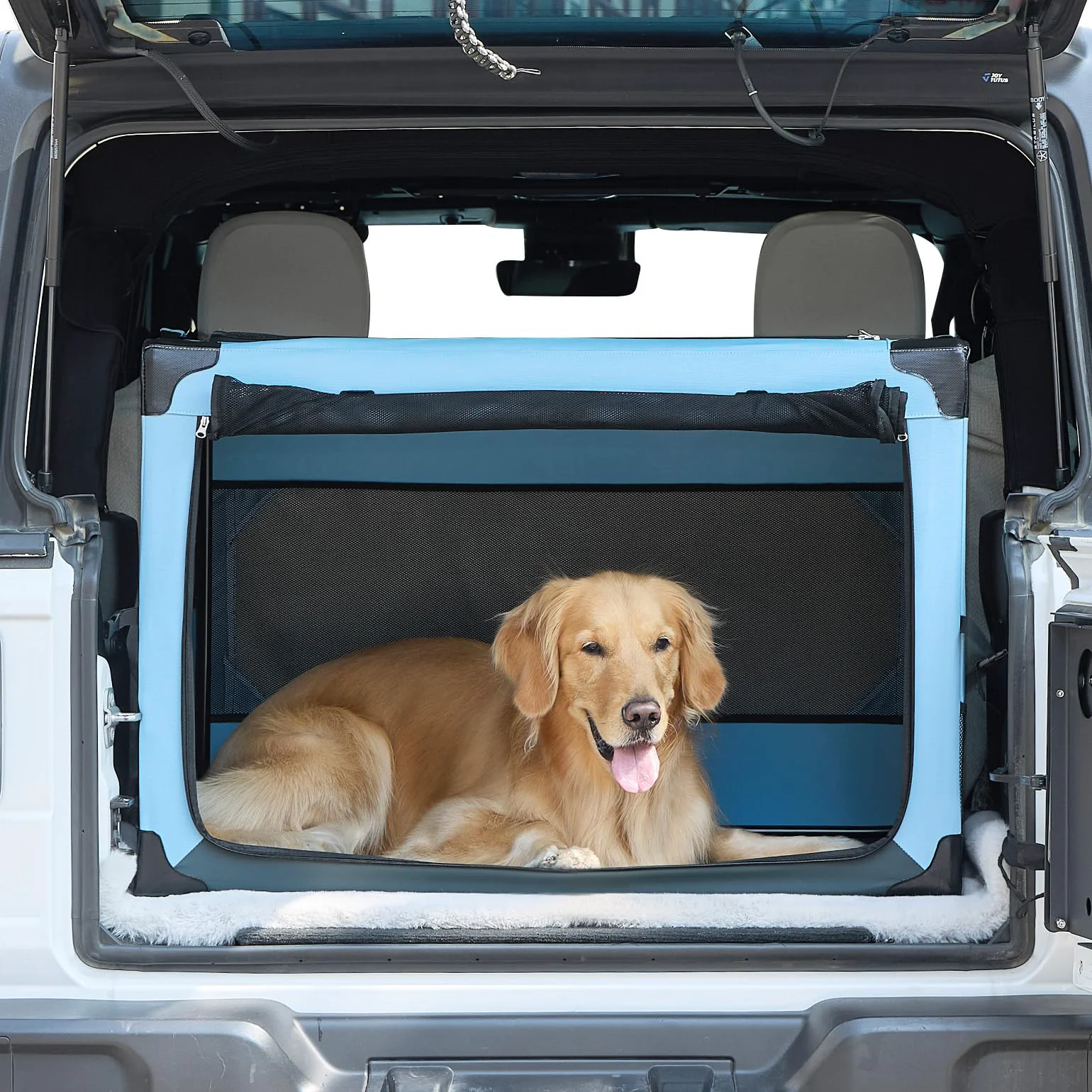 Trendy JOYTUTUS Collapsible 38-Inch Dog Crate for Car Travel — Large Foldable Kennel Up to 70 Lbs Efficient