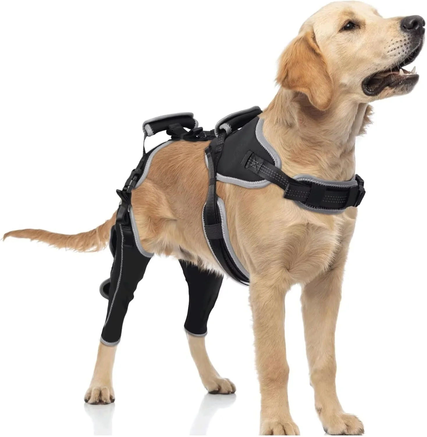 Advanced TIPOOP Dog Knee Brace for ACL CCL – Rear Leg Support Size L Black Stable Breathable Vet-Grade Design Fashionable