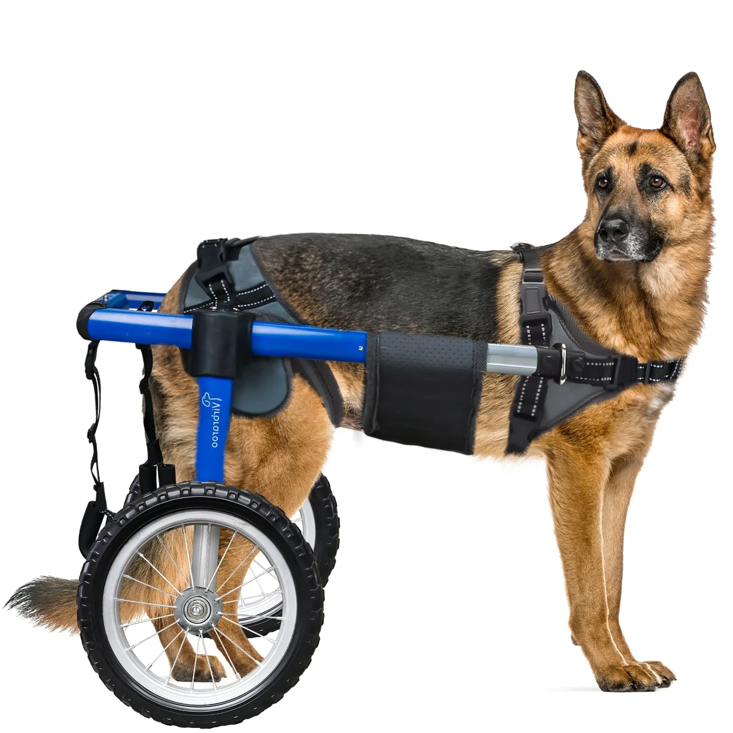 Sophisticated Virbraroo XXL Dog Wheelchair for Back Legs – All-Terrain Wheels Adjustable Fit 88–132 lb Crafted