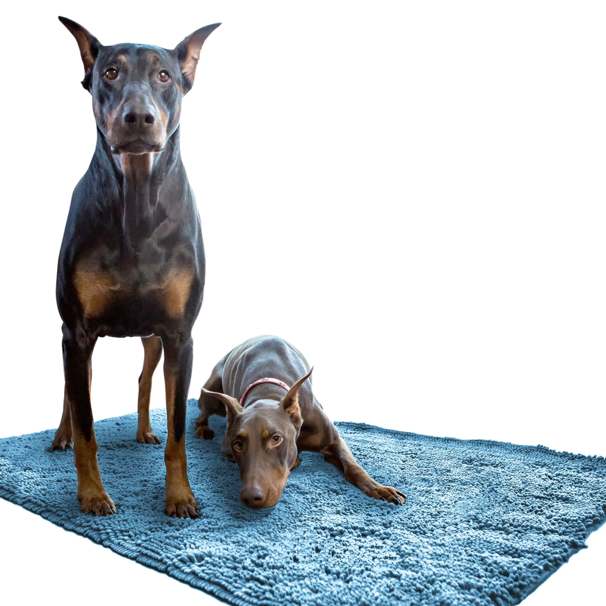 Functional Soggy Doggy Doormat – Extra-Large Blue Ultra-Absorbent Chenille Wet Dog Mat with Non-Slip Backing Modern