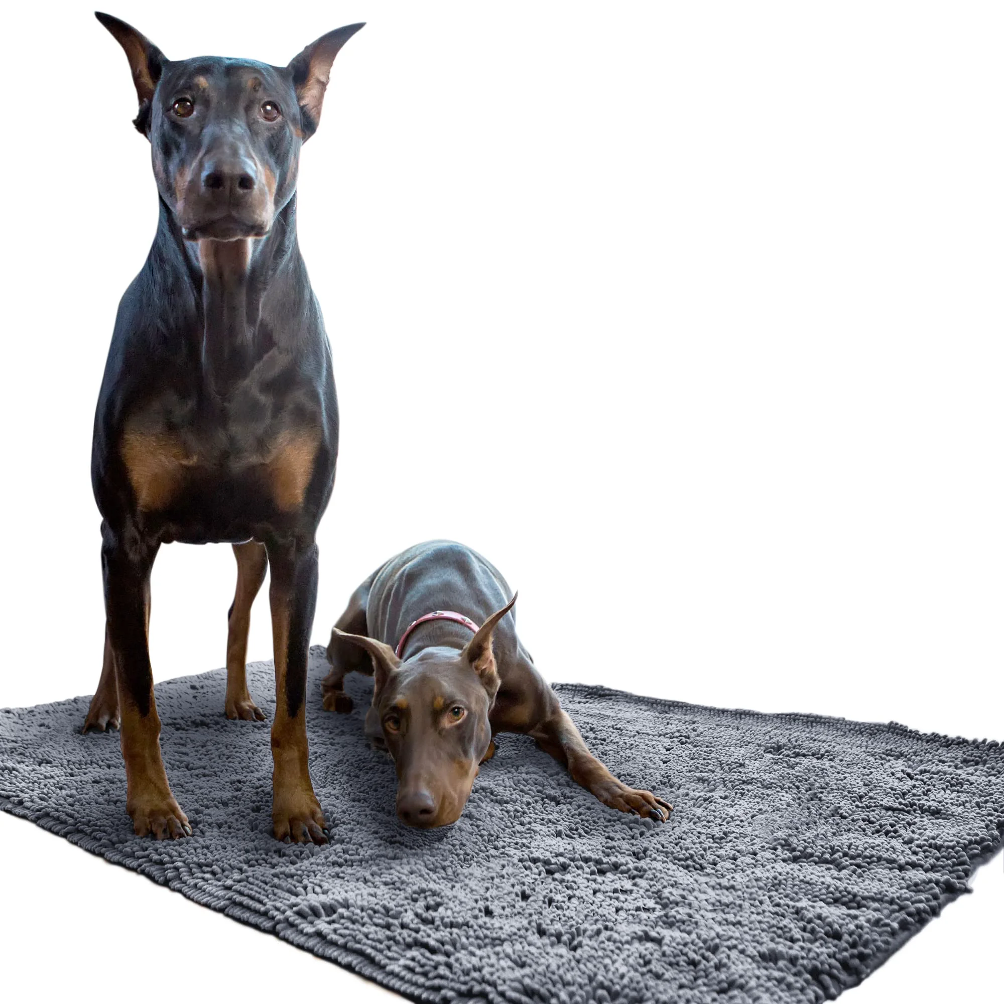 Relaxed Soggy Doggy Doormat - Ultra-Absorbent Microfiber Chenille Mat for Muddy Paws Non-Slip Machine Washable Grey Extra-Large 36 x 60 Quality