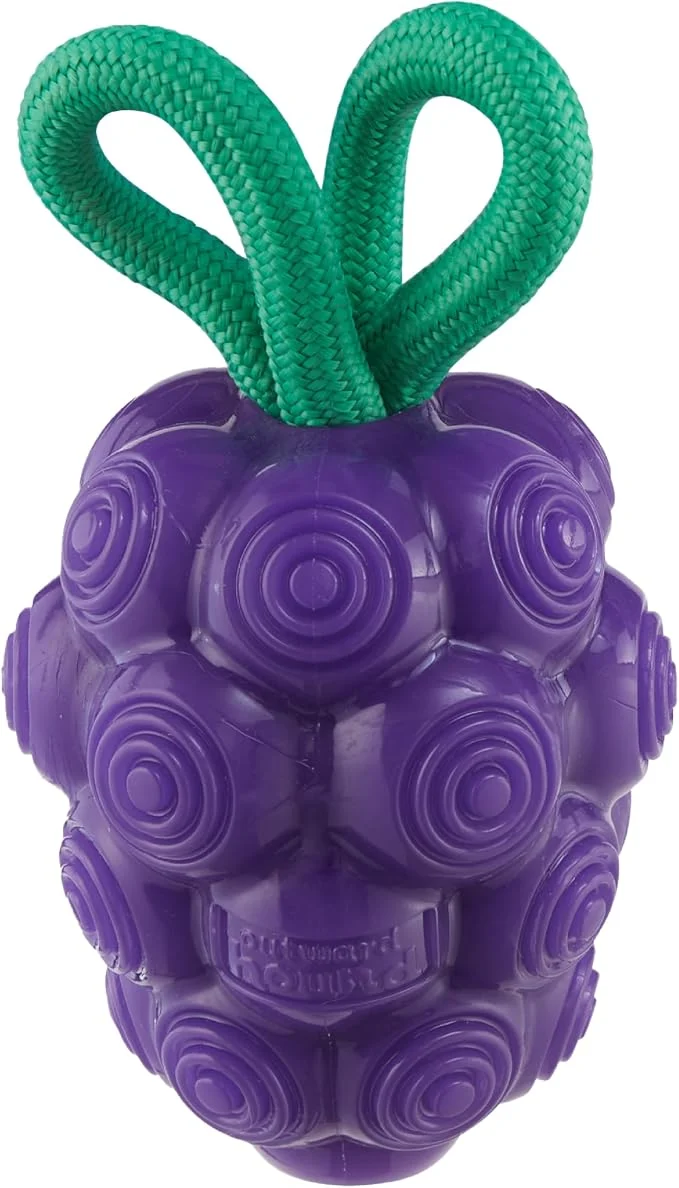 Top-Quality Outward Hound Dental Grapes Dog Toy Treat Stuffer 6″ x 3″ Grape-Scent Consistent