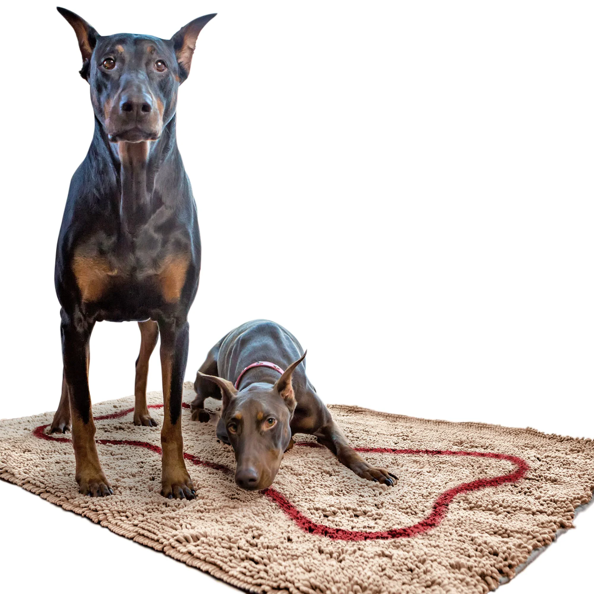 Carefully Designed Soggy Doggy Doormat with Bone Design – Ultra-Absorbent Microfiber Chenille Wet Dog Mat Non-Slip Machine Washable Extra-Large 36x60 Classic