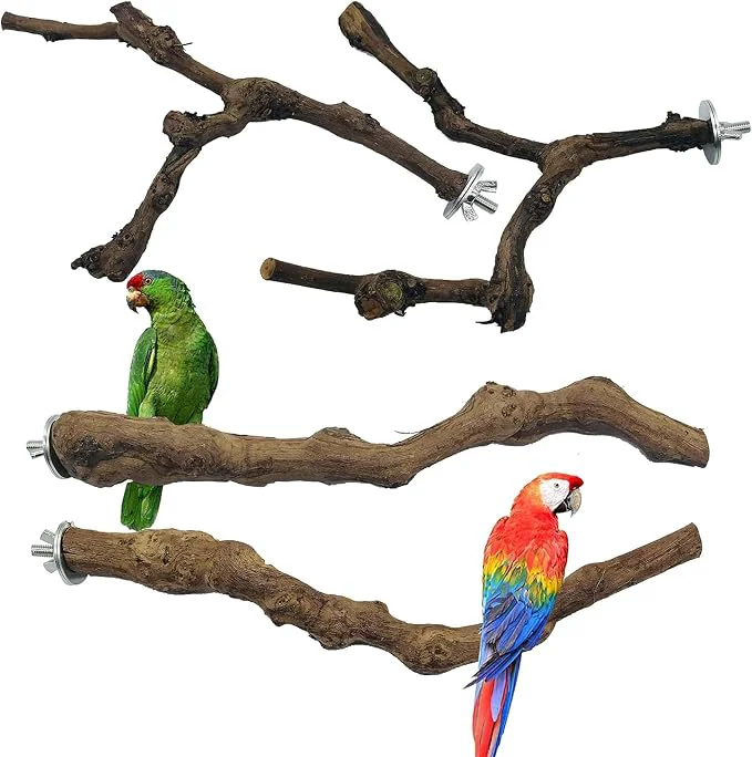 Premium Material Allazone 4-Piece Bird Perch Original Design