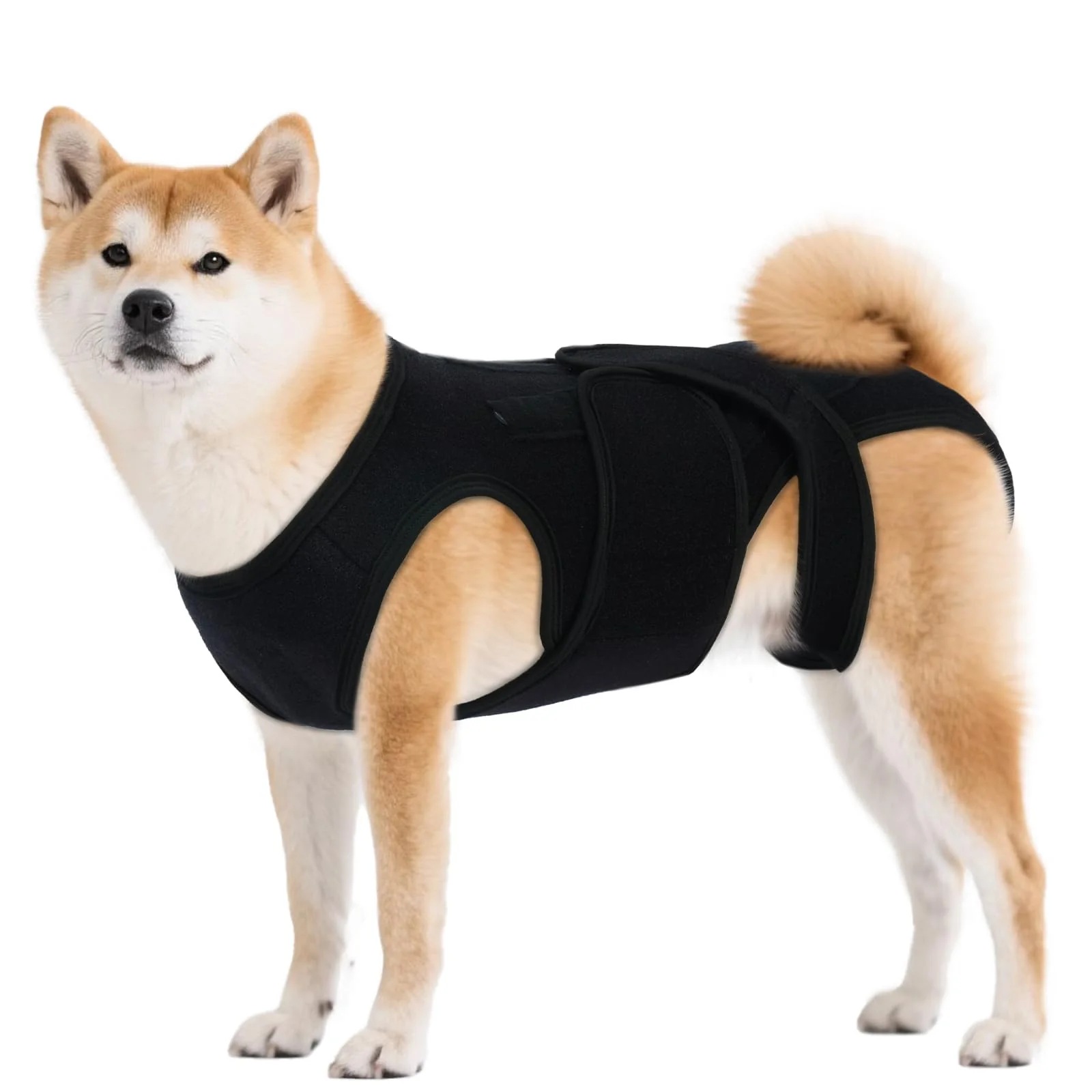 Comfortable LeleTail Adjustable Back Support for Medium Dogs – 5-Rod Spine Brace Post-Op Daily Use Lightweight