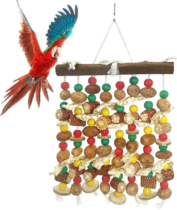 Luxury PINVNBY Large Parrot Toys Natural Nuts Corn Cob Wooden Chewing Tearing Toy Next-Generation