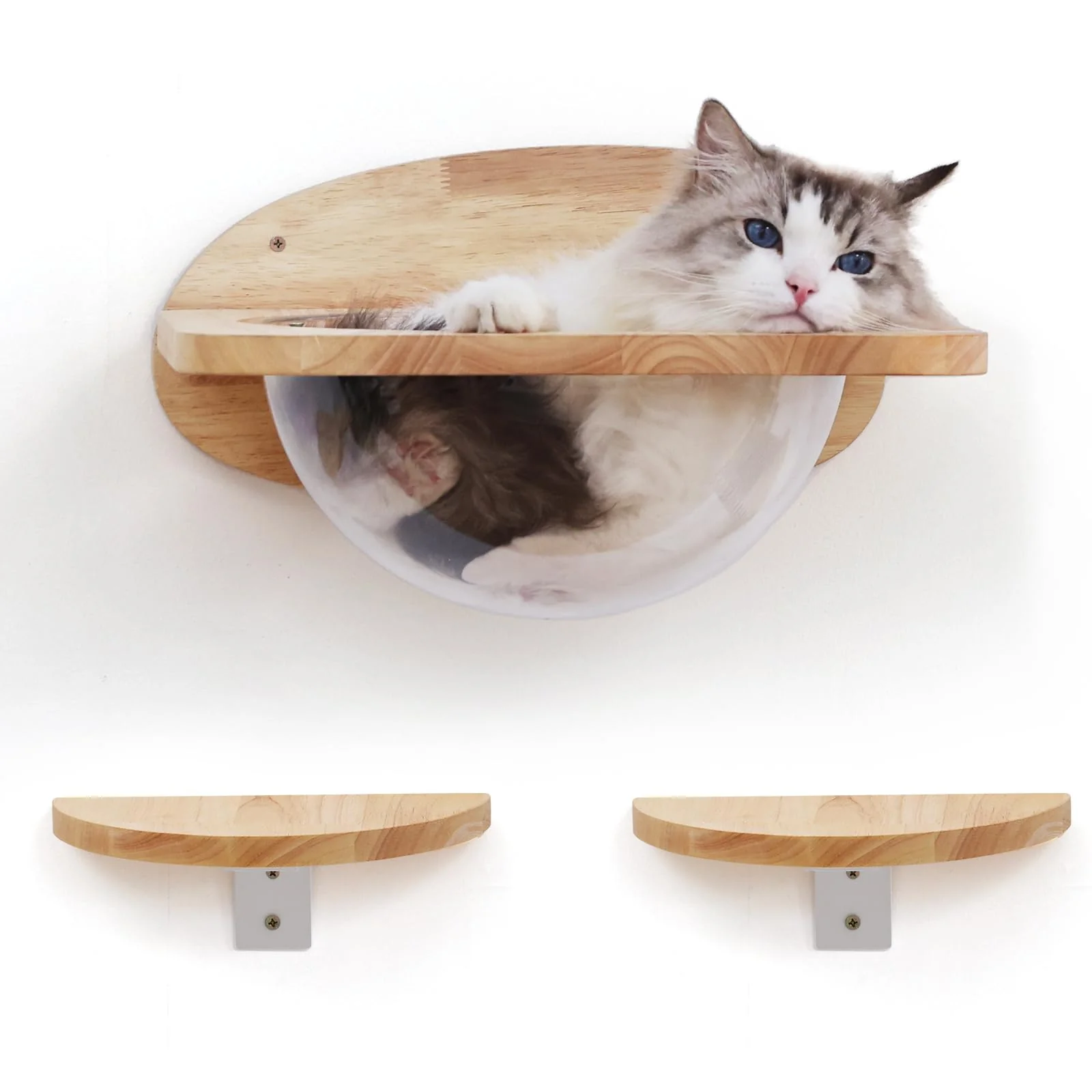 High-Performance FUKUMARU Cat Wall Furniture Set – Transparent Capsule Shelves with 2 Pedals Up to 35 Lbs Next-Generation