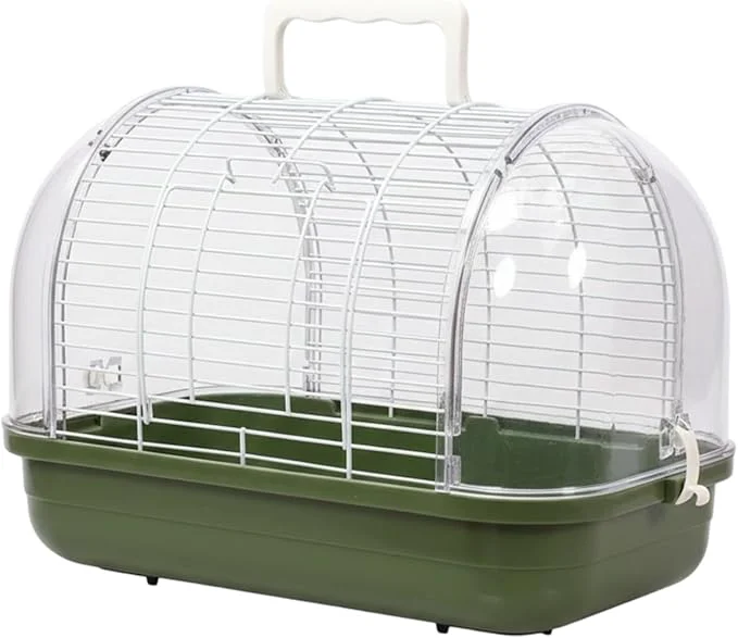Long-Lasting Transparent Small Bird Traditional
