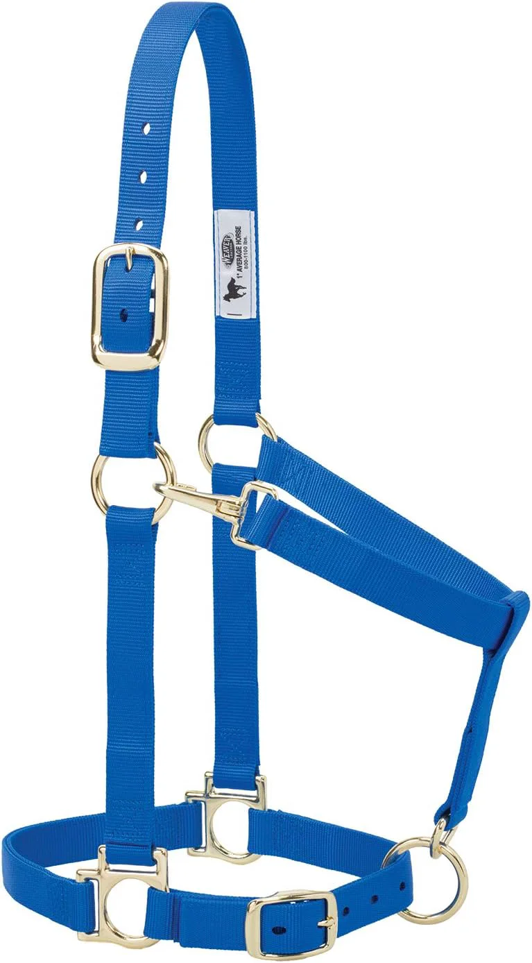 Genuine Weaver Leather Nylon Horse Halter Padded and Adjustable Chin and Throat Snap Hook Halters for Horses Brass Plated Halters for Training Innovative
