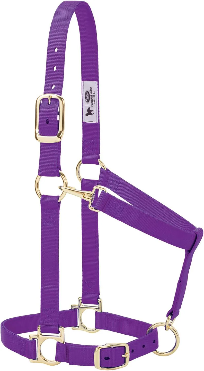 Versatile Weaver Leather Nylon Horse Halter Padded and Adjustable Chin and Throat Snap Hook Halters for Horses Brass Plated Halters for Training Minimalist