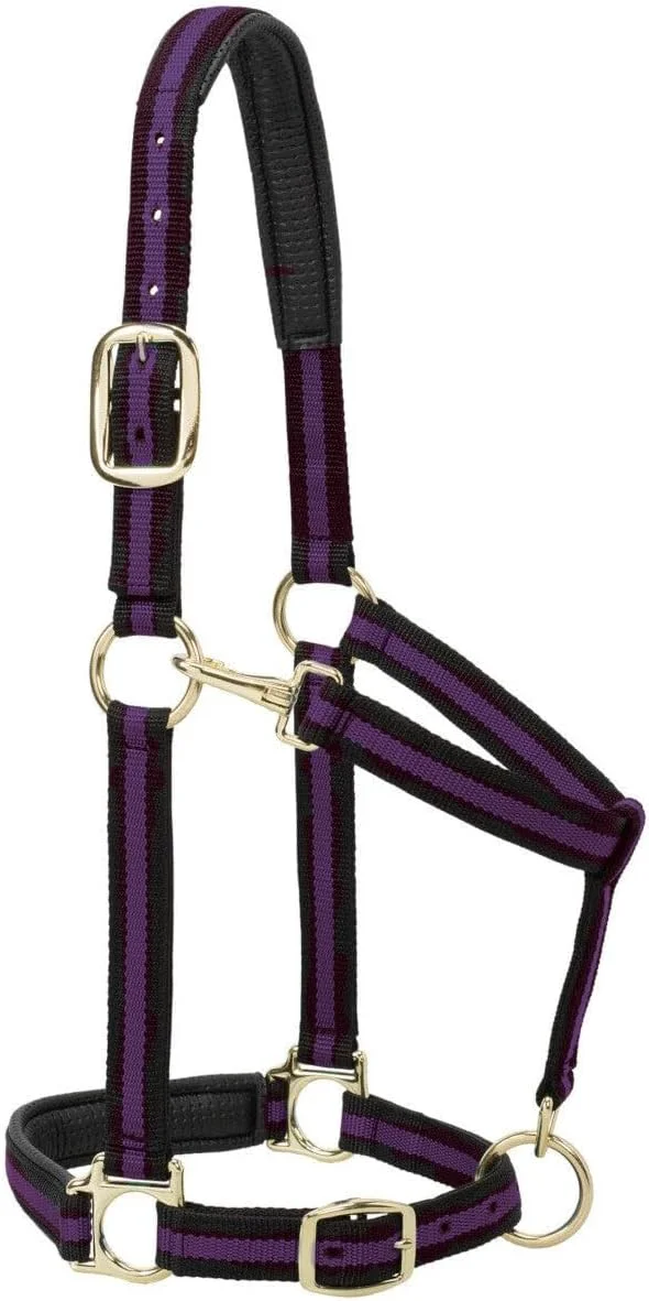 Smart Weaver Leather Nylon Horse Halter Padded and Adjustable Chin and Throat Snap Hook Halters for Horses Brass Plated Halters for Training Genuine