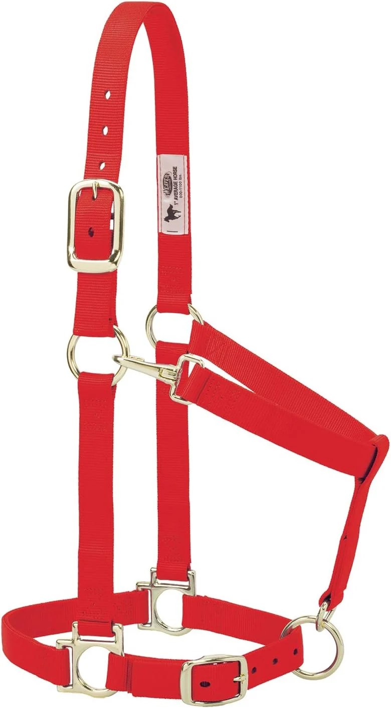Environmentally Friendly Weaver Leather Nylon Horse Halter Padded and Adjustable Chin and Throat Snap Hook Halters for Horses Brass Plated Halters for Training Easy-to-Use