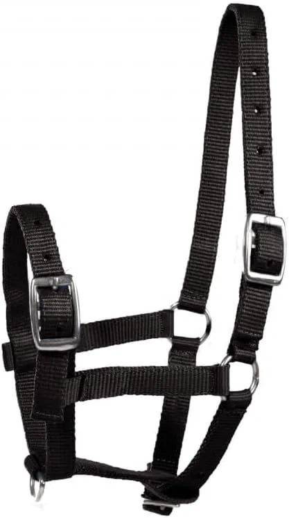 Sophisticated HORZE Adjustable Nylon Horse Halter for Foals Colts Fillies Mini Horse Halter Comfortable Small Horse Halter with Sturdy Buckles - Black - Foal Sustainable