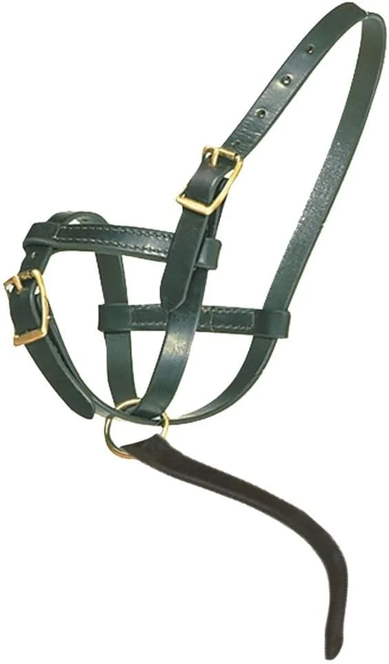 First-Class Schneiders Premier Leather Foal Halter for Horses - Newborn Double Stitched Harness Leather Soft Fit for Sucklings Brass-Plated Hardware Grab Strap for Leading Exceptional