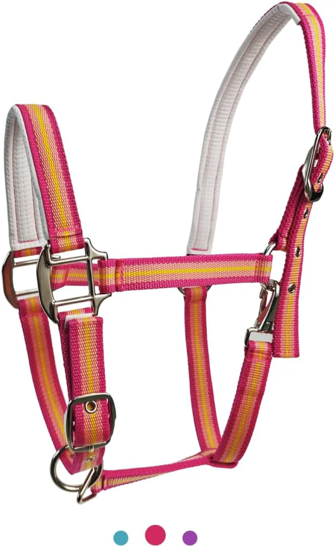 Artisan JWODVNTH Adjustable Horse Halter with PP Webbing Durable Horse Halters with Zinc Alloy Hardware Horses Training Equipment to Prevent Friction for Training Competitions ＆ Daily Responsible