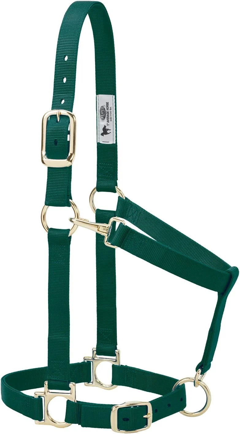 Trendy Weaver Leather Nylon Horse Halter Padded and Adjustable Chin and Throat Snap Hook Halters for Horses Brass Plated Halters for Training Responsible