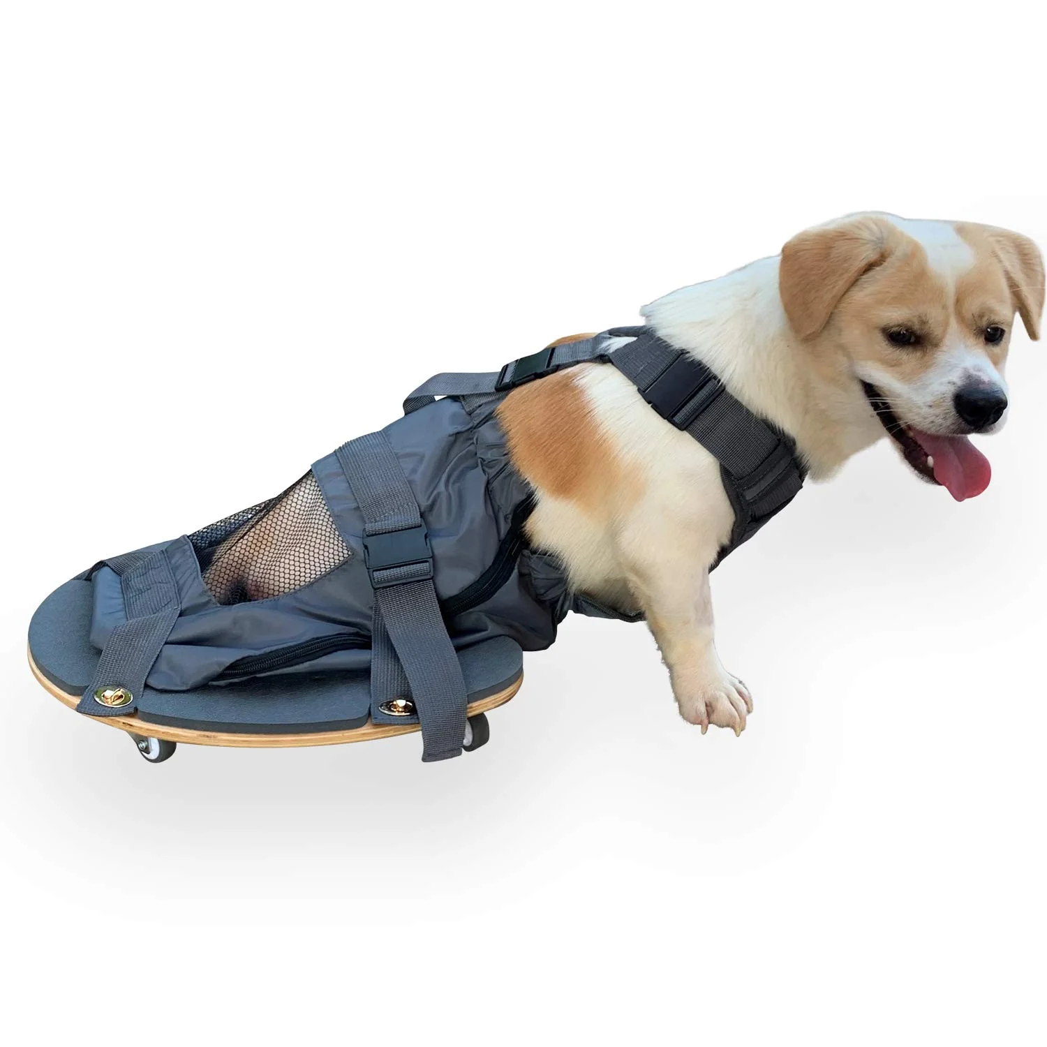 Reliable derYEP Pet Scooter Wheelchair for Rear Legs – Paralyzed Dog Mobility Chest Limb Protection Enhanced