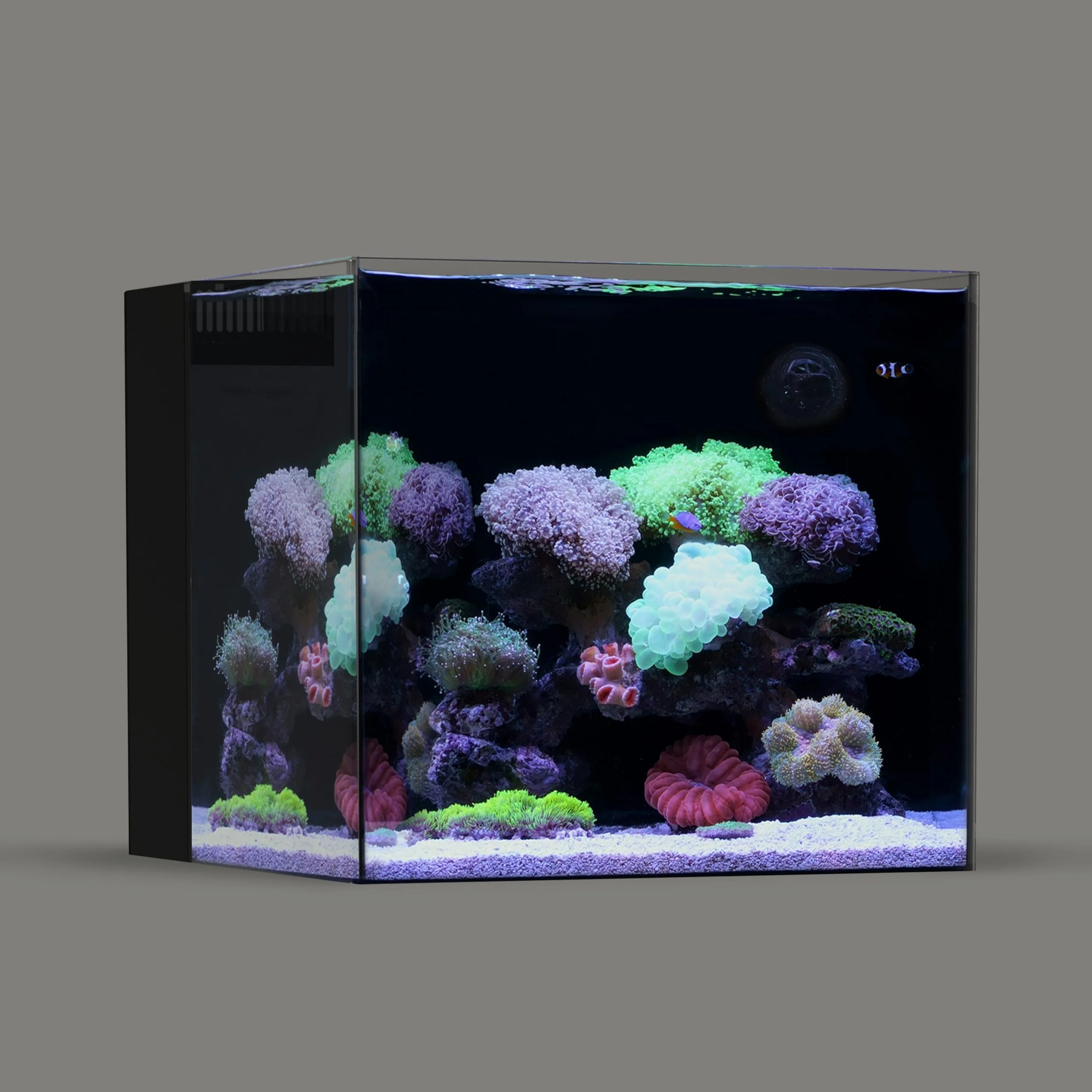 Superior Landen 45P 15-Gallon Ultra-Clear Rimless Glass Aquarium with Rear Filtration Sustainable