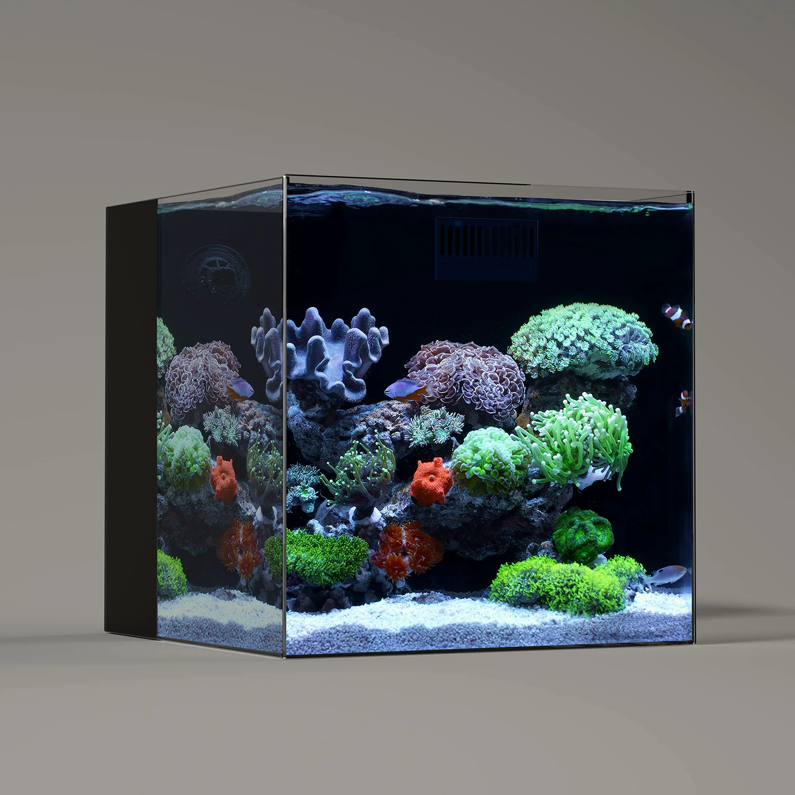 Selected LANDEN 40C 11 Gallon Ultra Clear Glass Rimless Tank with Rear Filtration Chamber – Includes Return Pump Salt Freshwater Ready Safe