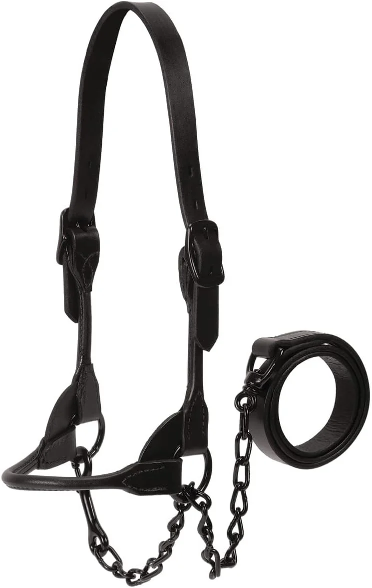 Safe Weaver Livestock Leather Show Cattle Halter Adjustable Modern Style Cow Calf Halter Livestock Handling Equipment for Showing Black Certified