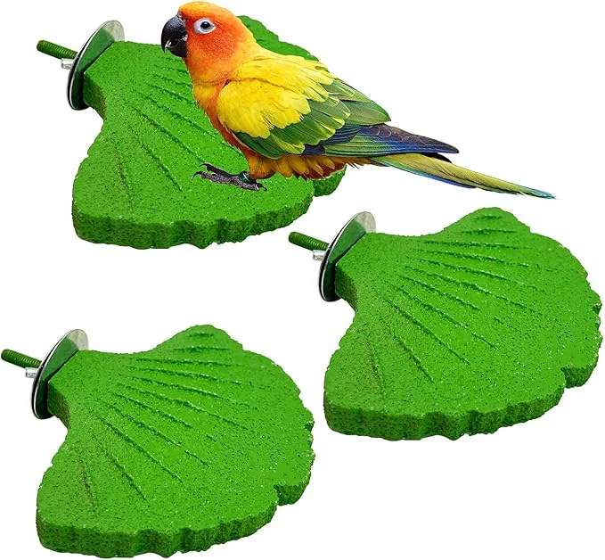 Functional 3 Pcs Parrot Perch Resin Bird Beak Grinding Stone Leaf Shape Perch Stand Foot Crafted