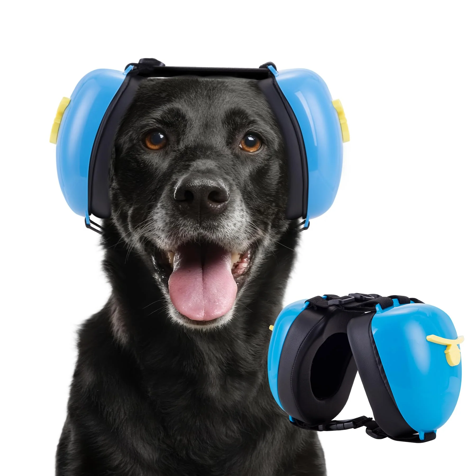 User-Friendly Famikako Dog Ear Muffs – 30dB NRR Noise Protection Blue Small with Bell Accent Practical