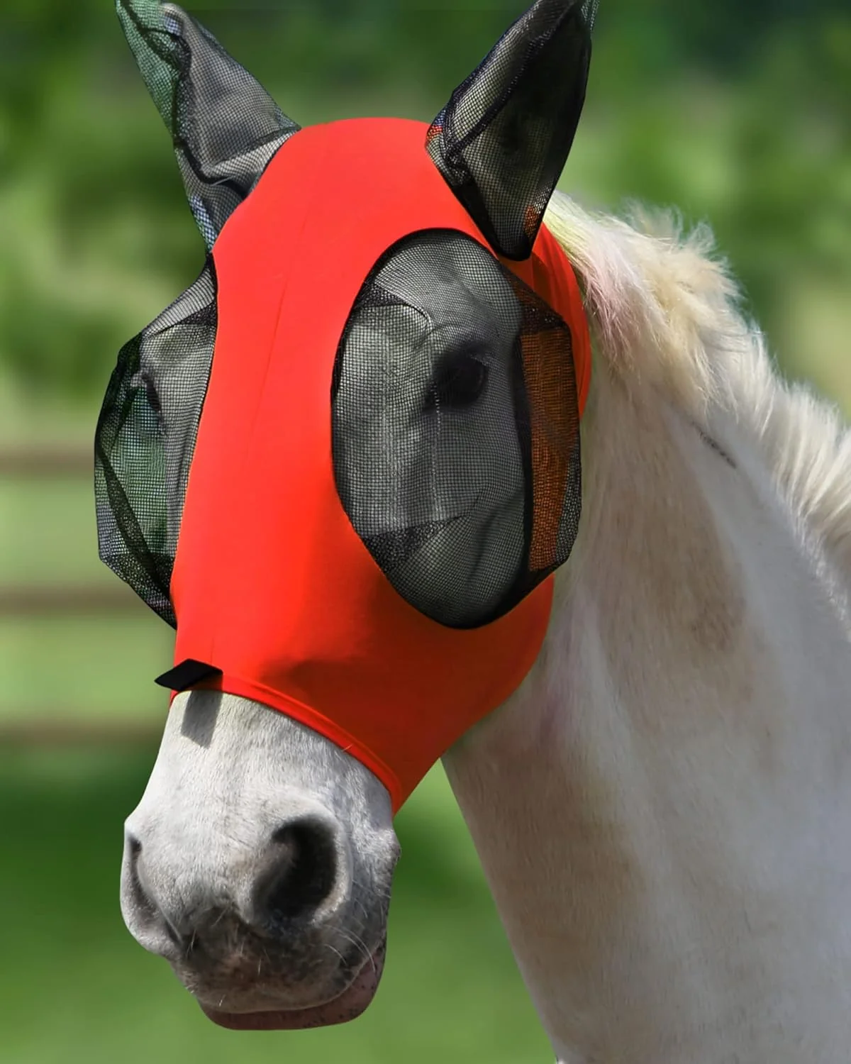 Flexible Harrison Howard Super Comfort Stretchy Fly Mask Large Eye Space with UV Protection Soft on Skin with Breathability Lava Red L Modern