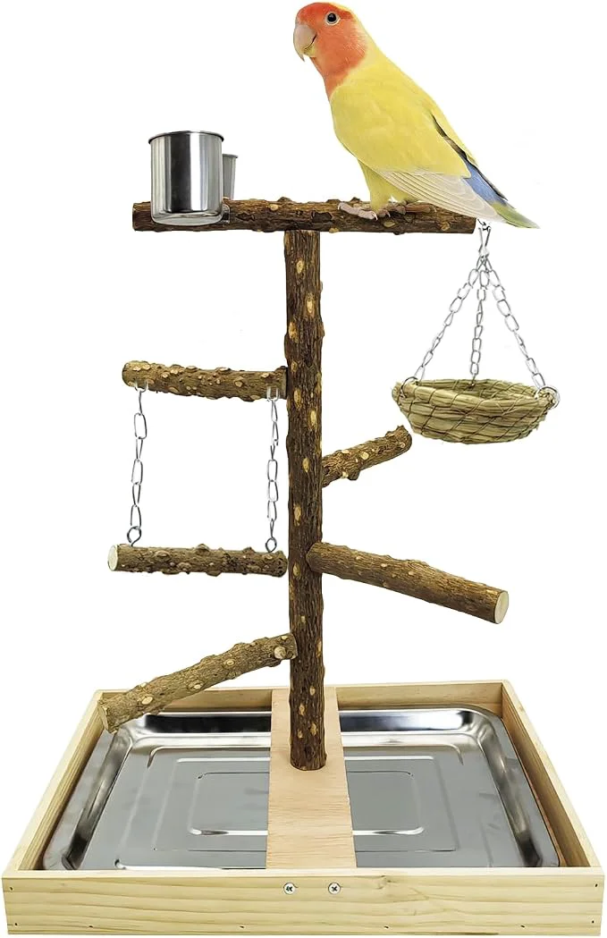 Authentic Tfwadmx Bird Perch Natural Wood Stand Toy Parrot Play Stand Platform and Consistent